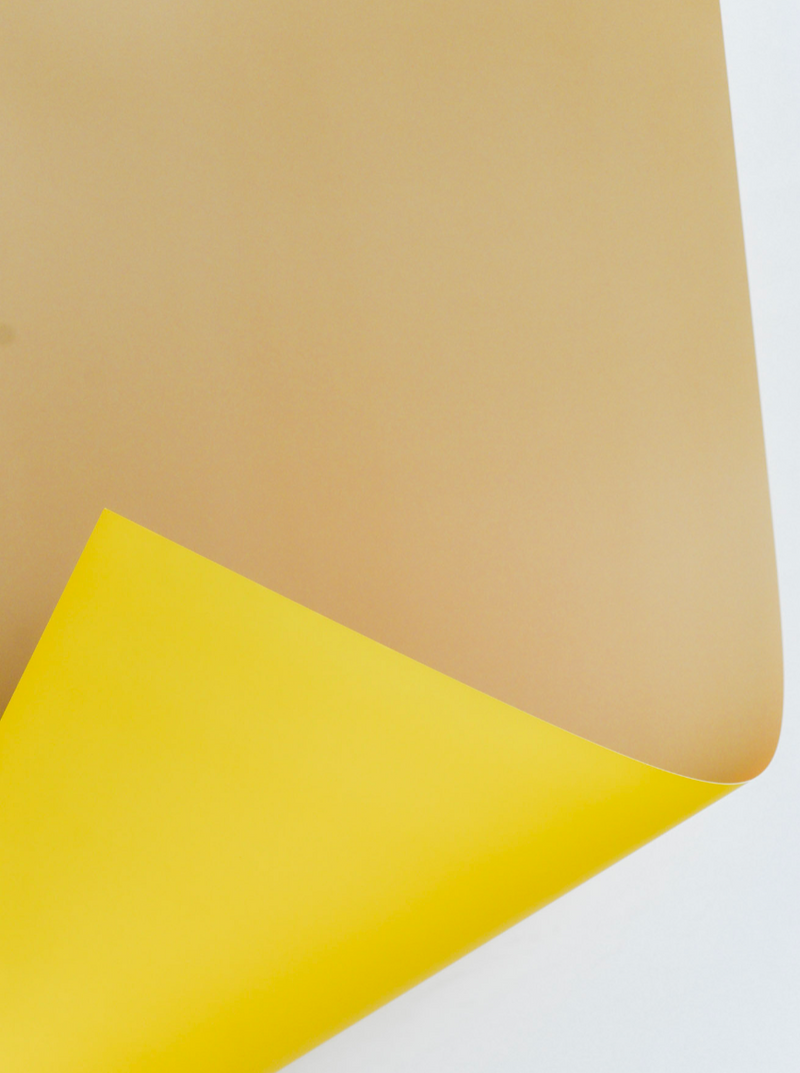 Yellow + Honey | Solid Color Backdrop