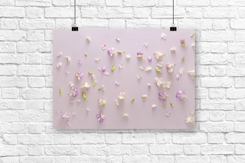 Pastel Flowers & Petals | Photography Backdrop