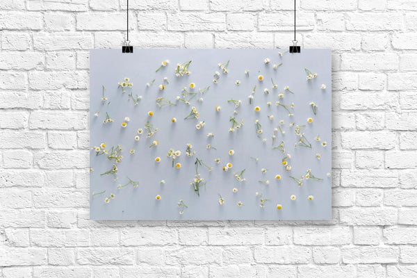Pastel Flowers & Petals | Photography Backdrop