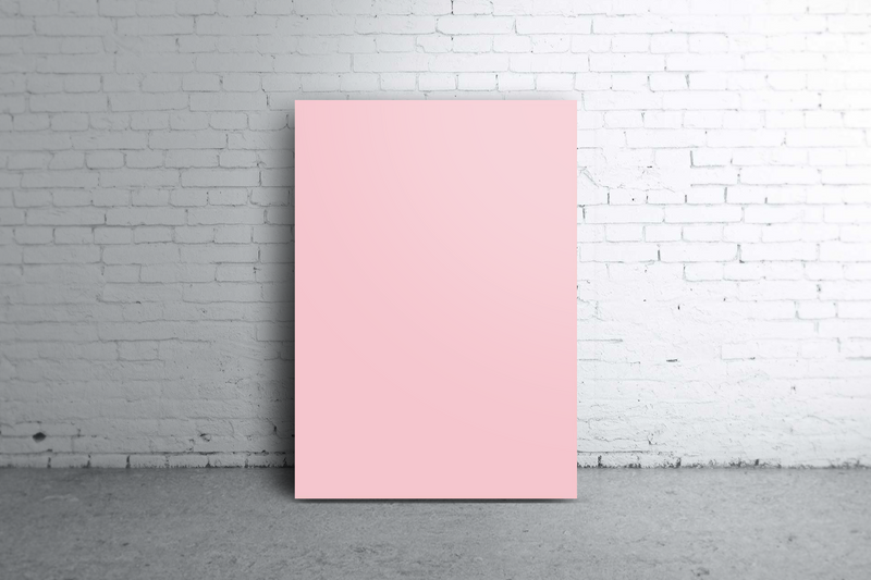 Pink + Light Blue | Flat Lay Backdrop