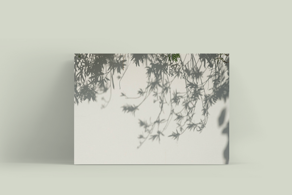 Leaf Shade | Flat Lay Vinyl Backdrop